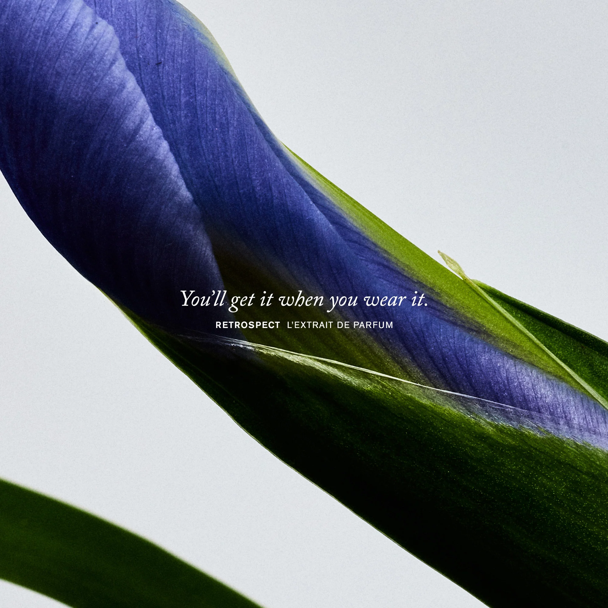 Retrospect - Image 4