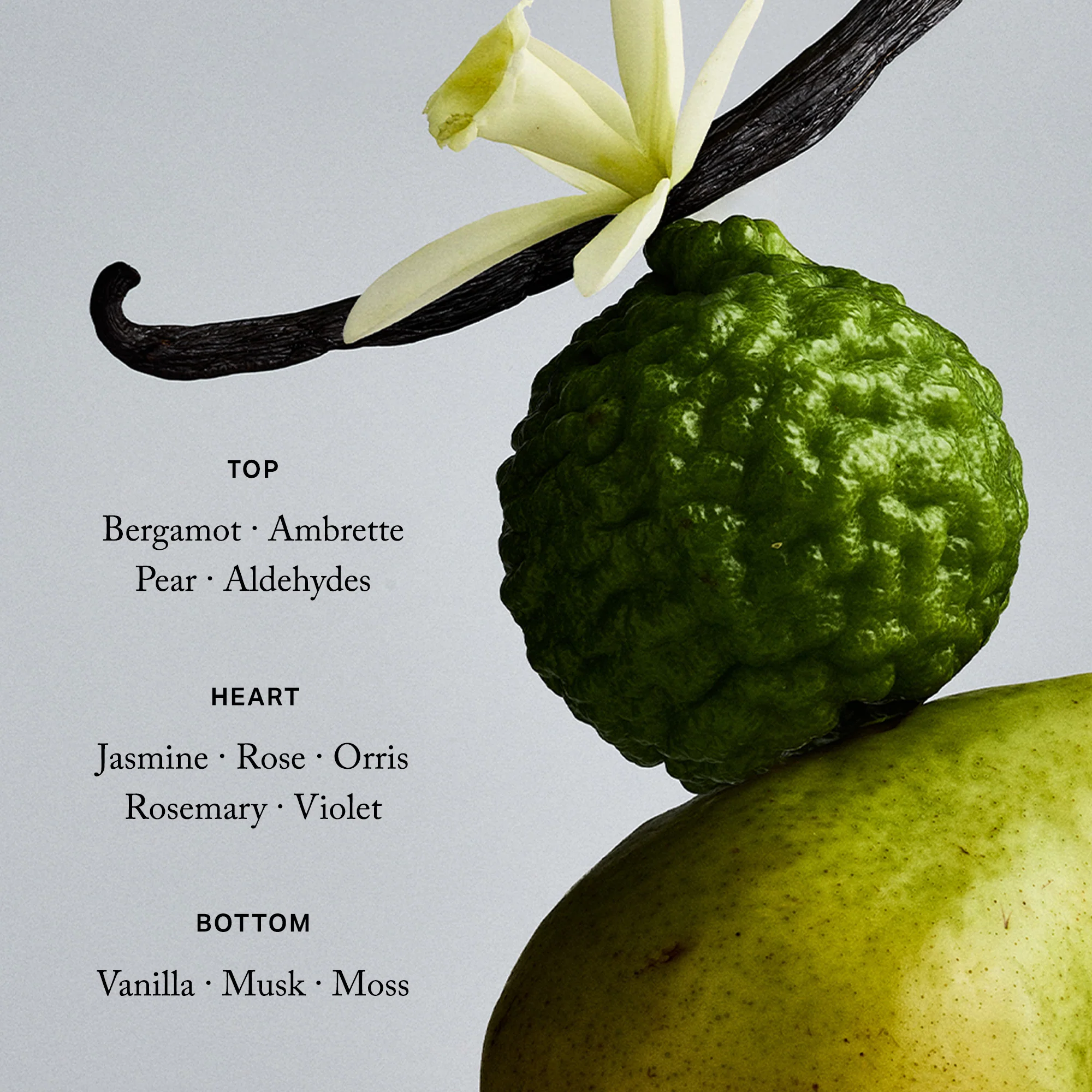 Retrospect - Image 5