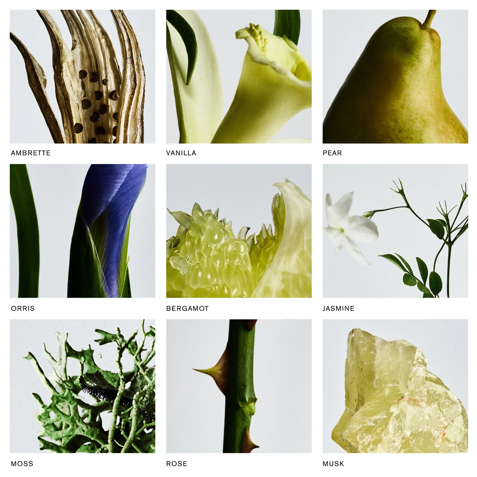 Retrospect - Image 7